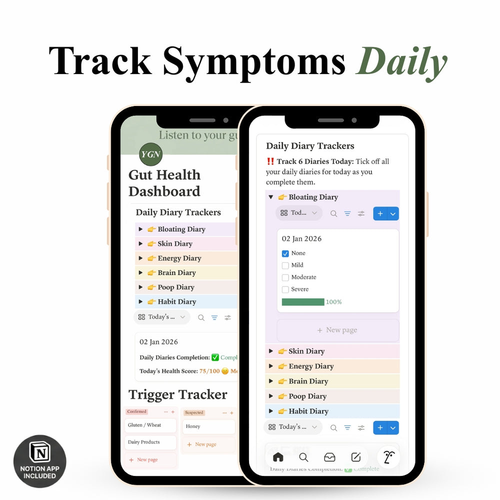 The Complete Gut Reset System (Guide + Notion App)